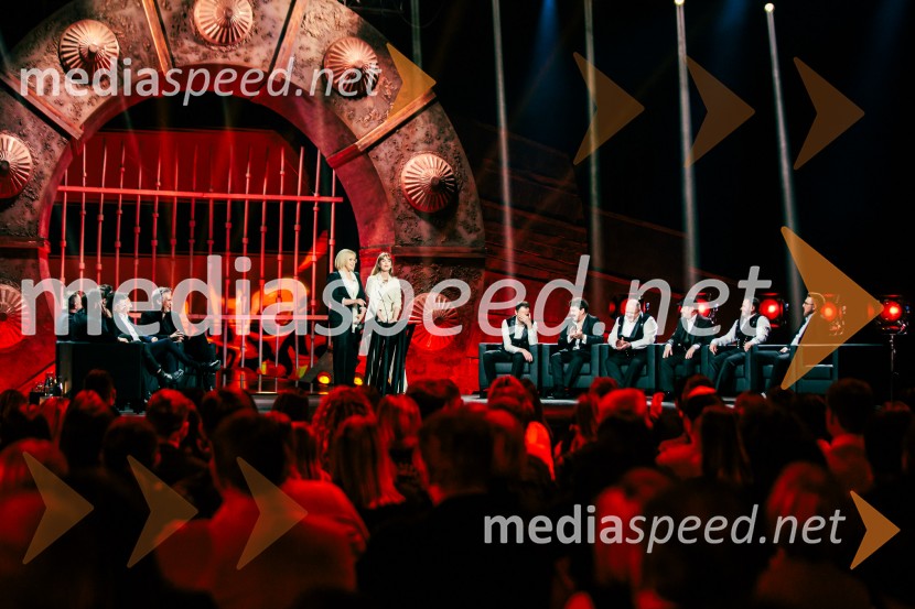 Na žaru z Ladom Bizovičarjem, Modrijani