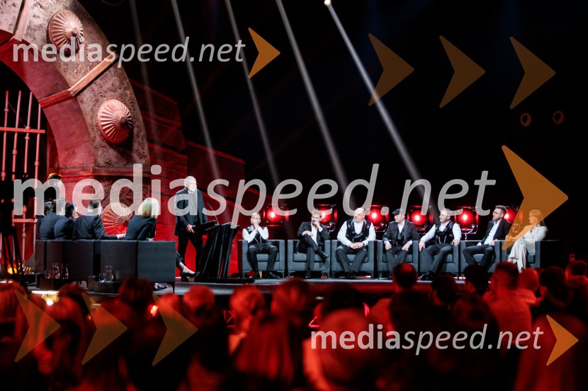 Na žaru z Ladom Bizovičarjem, Modrijani