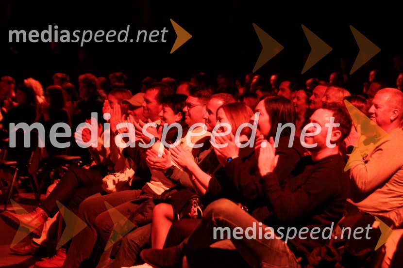 Na žaru z Ladom Bizovičarjem, Modrijani