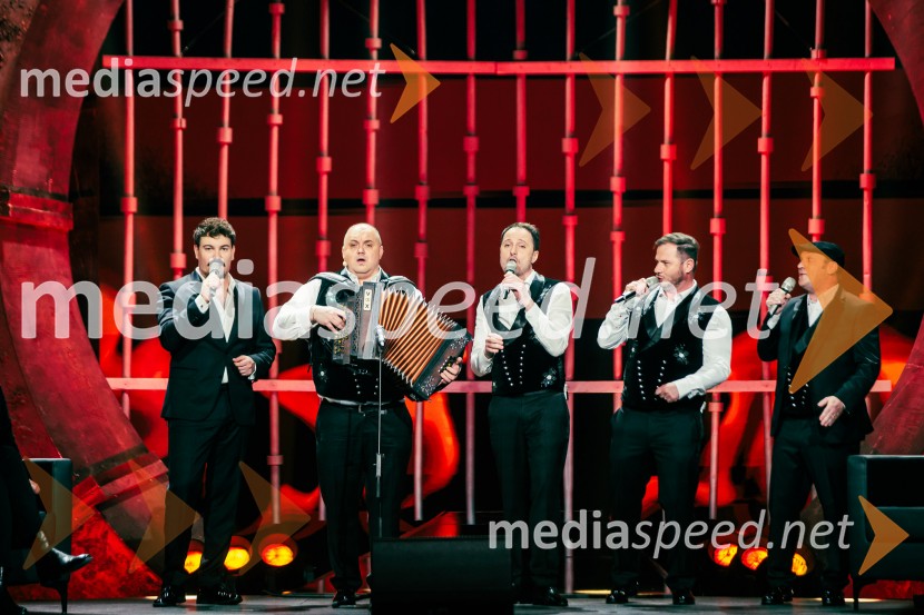 Na žaru z Ladom Bizovičarjem, Modrijani