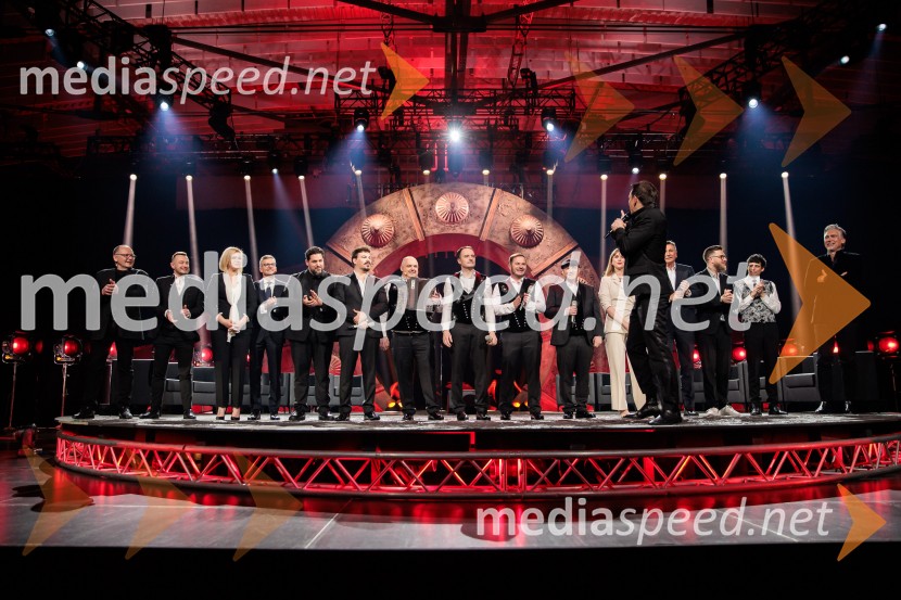 Na žaru z Ladom Bizovičarjem, Modrijani