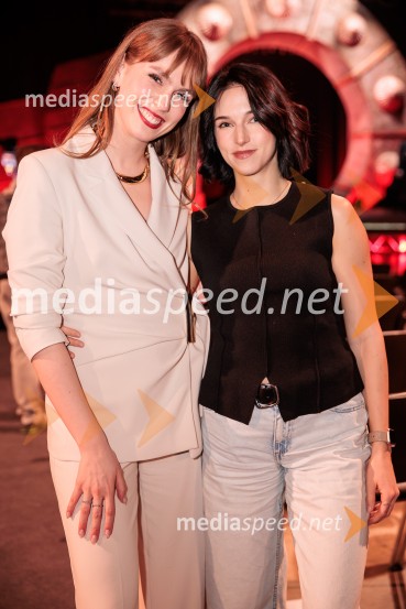 Na žaru z Ladom Bizovičarjem, Modrijani