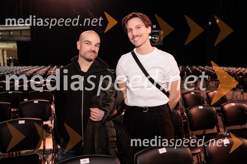 Na žaru z Ladom Bizovičarjem, Modrijani