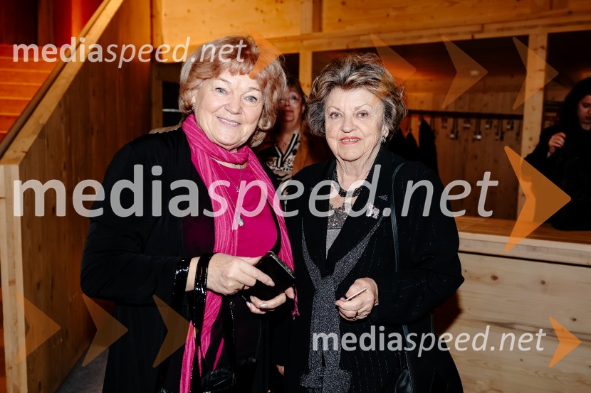 Sovražnik Ljudstva, premiera, SNG Drama Ljubljana