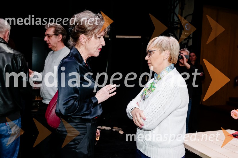 Sovražnik Ljudstva, premiera, SNG Drama Ljubljana