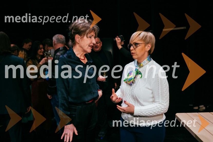 Sovražnik Ljudstva, premiera, SNG Drama Ljubljana