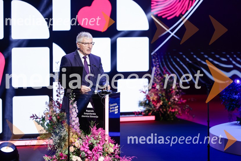 58. podelitev nagrad GZS, počastili najboljše slovenske gospodarstvenike