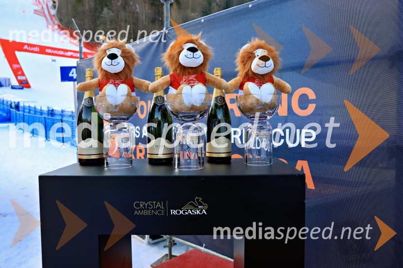 65. Pokal VItranc - veleslalom - družabna kronika