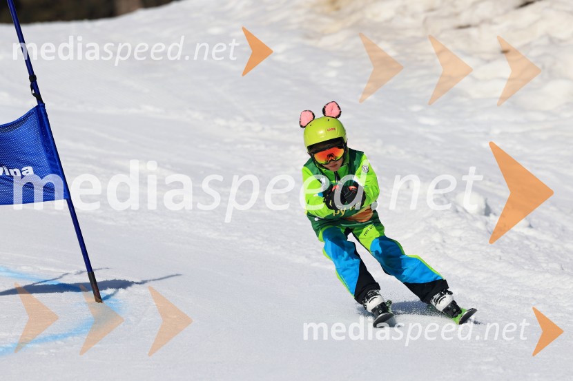 Koroški pokal 2026 - 4. tekma, Kope
