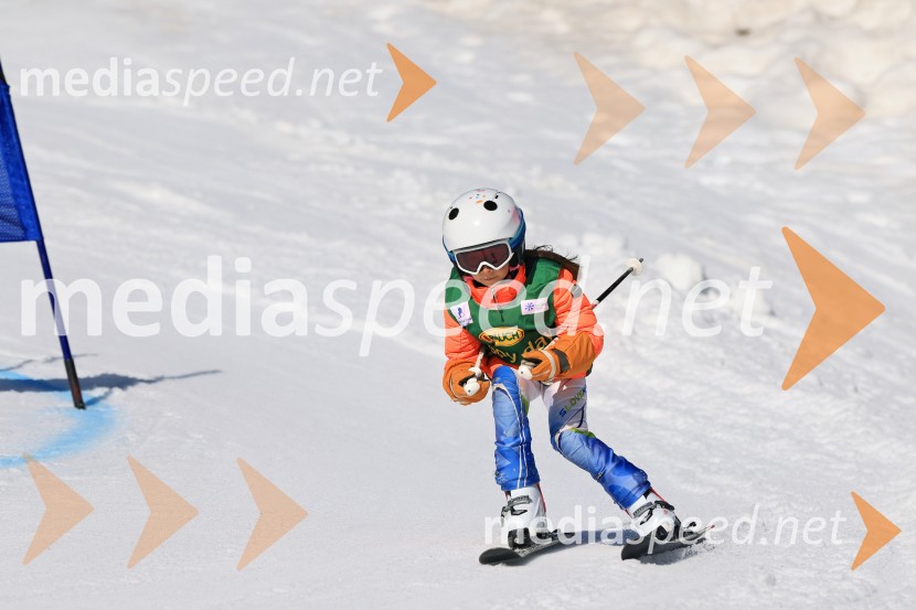 Koroški pokal 2026 - 4. tekma, Kope