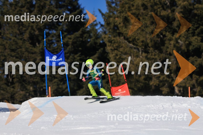 Koroški pokal 2026 - 4. tekma, Kope