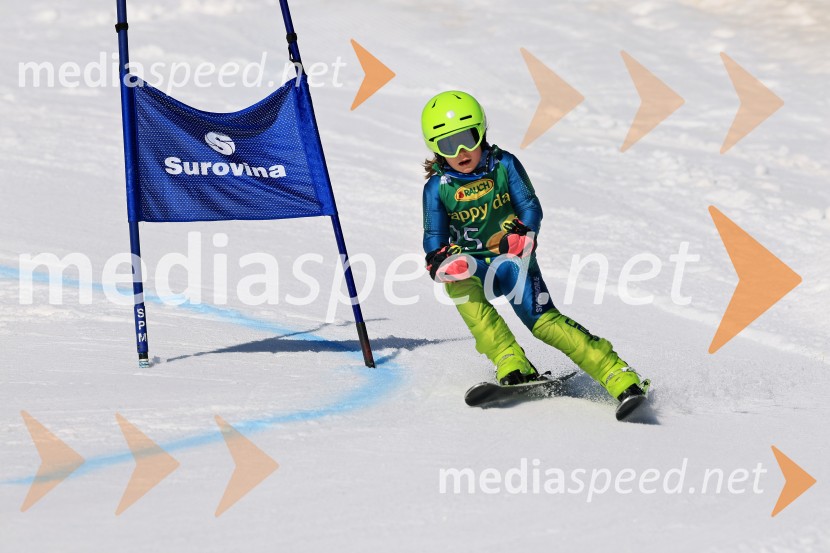 Koroški pokal 2026 - 4. tekma, Kope
