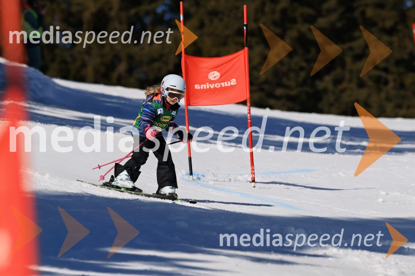 Koroški pokal 2026 - 4. tekma, Kope