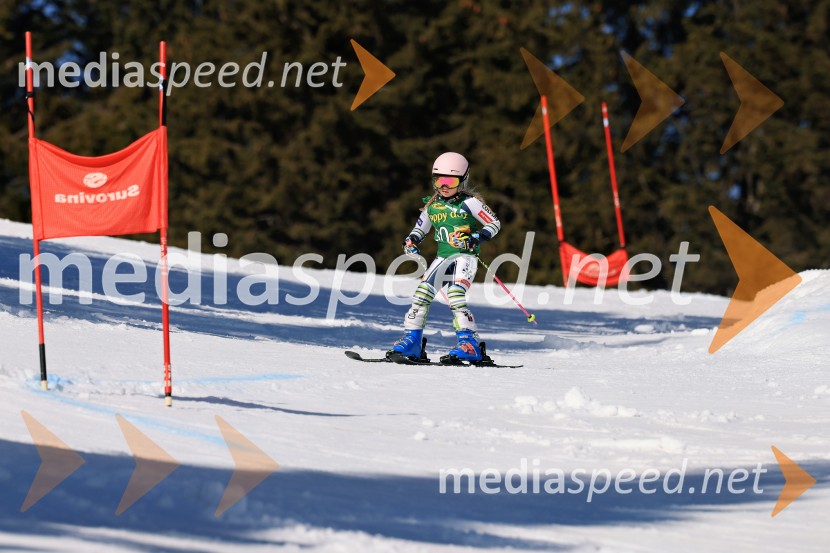 Koroški pokal 2026 - 4. tekma, Kope