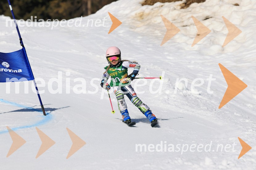Koroški pokal 2026 - 4. tekma, Kope