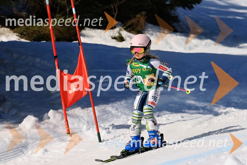 Koroški pokal 2026 - 4. tekma, Kope