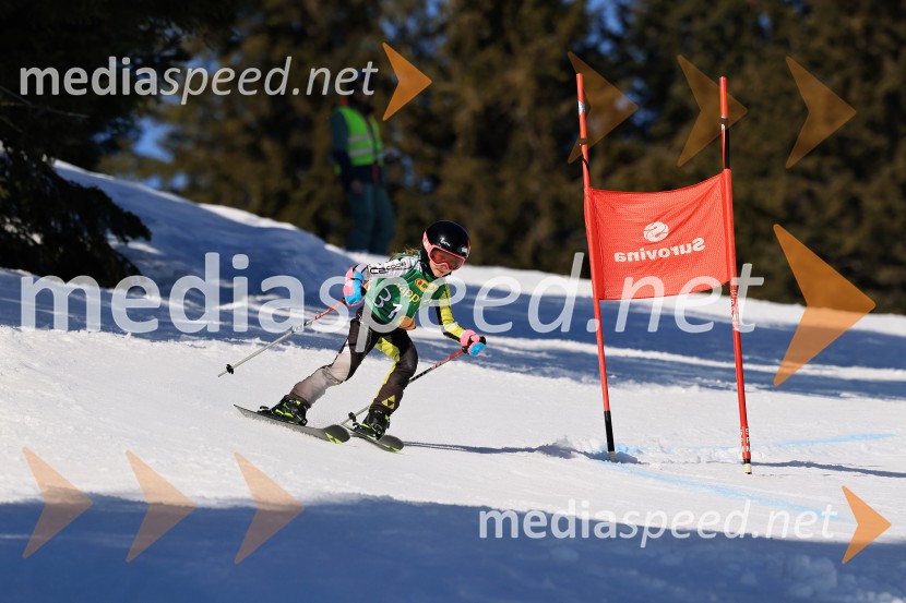 Koroški pokal 2026 - 4. tekma, Kope