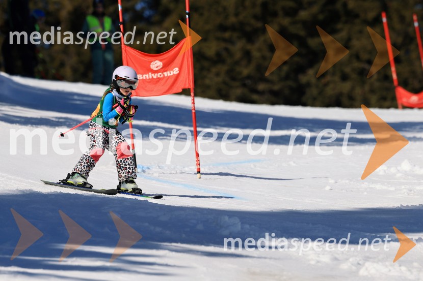 Koroški pokal 2026 - 4. tekma, Kope