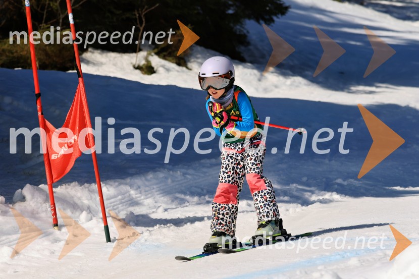 Koroški pokal 2026 - 4. tekma, Kope