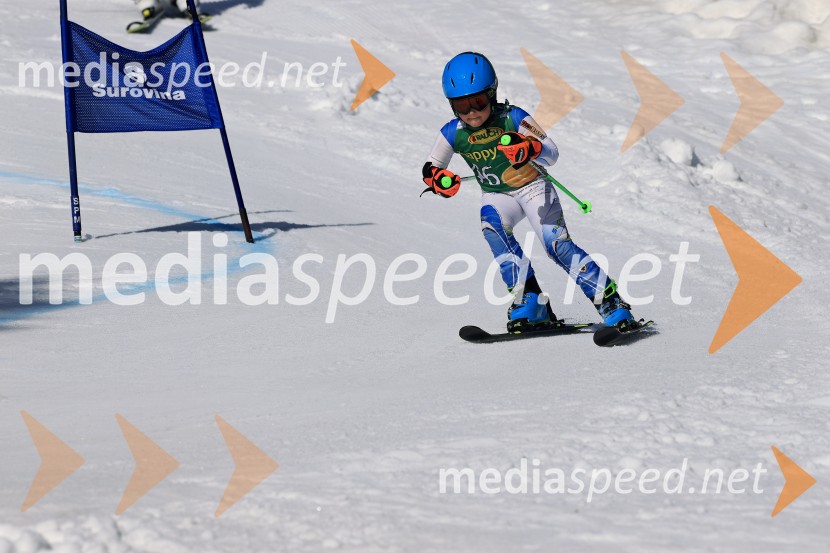 Koroški pokal 2026 - 4. tekma, Kope