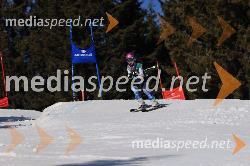 Koroški pokal 2026 - 4. tekma, Kope