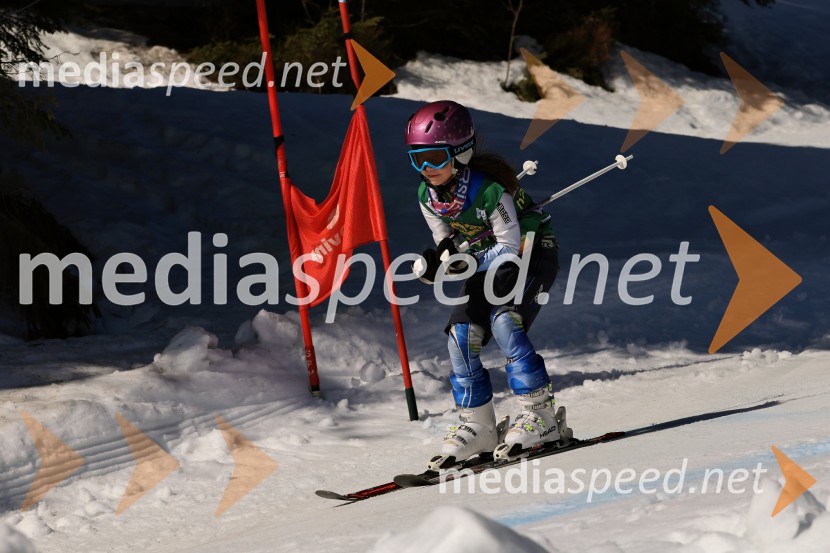Koroški pokal 2026 - 4. tekma, Kope