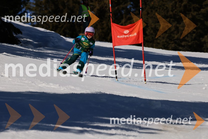 Koroški pokal 2026 - 4. tekma, Kope