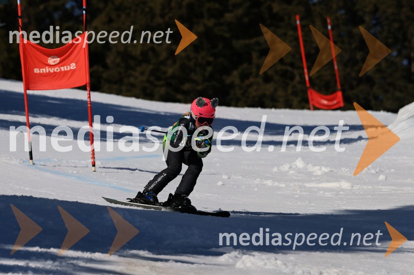 Koroški pokal 2026 - 4. tekma, Kope