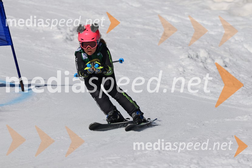 Koroški pokal 2026 - 4. tekma, Kope