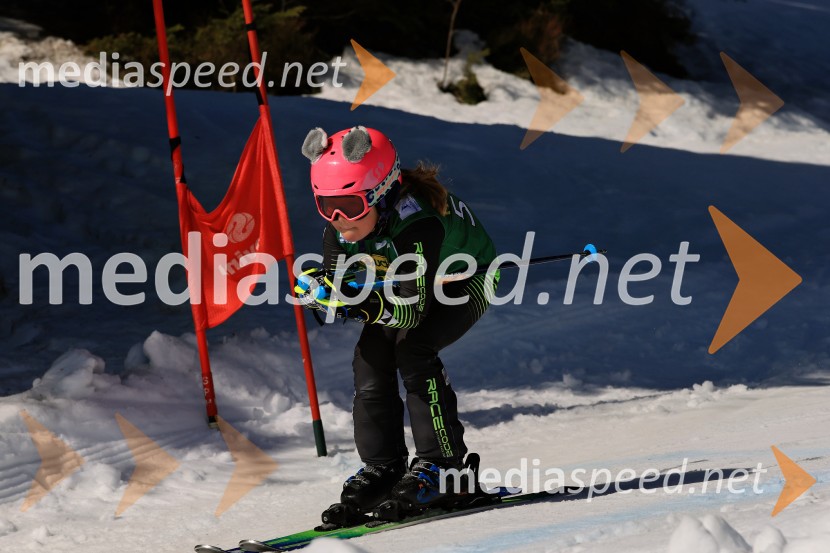 Koroški pokal 2026 - 4. tekma, Kope