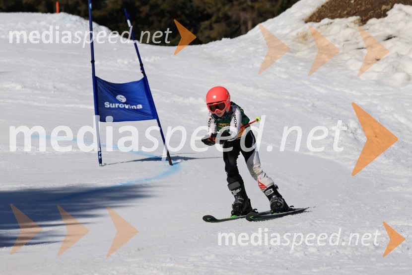 Koroški pokal 2026 - 4. tekma, Kope