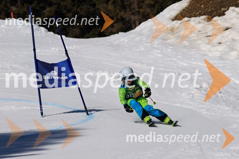 Koroški pokal 2026 - 4. tekma, Kope