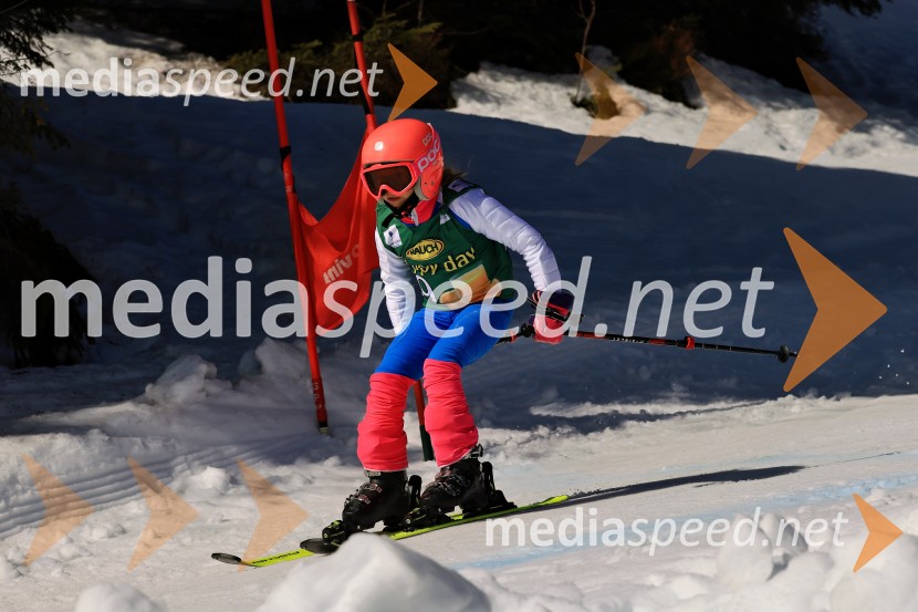 Koroški pokal 2026 - 4. tekma, Kope