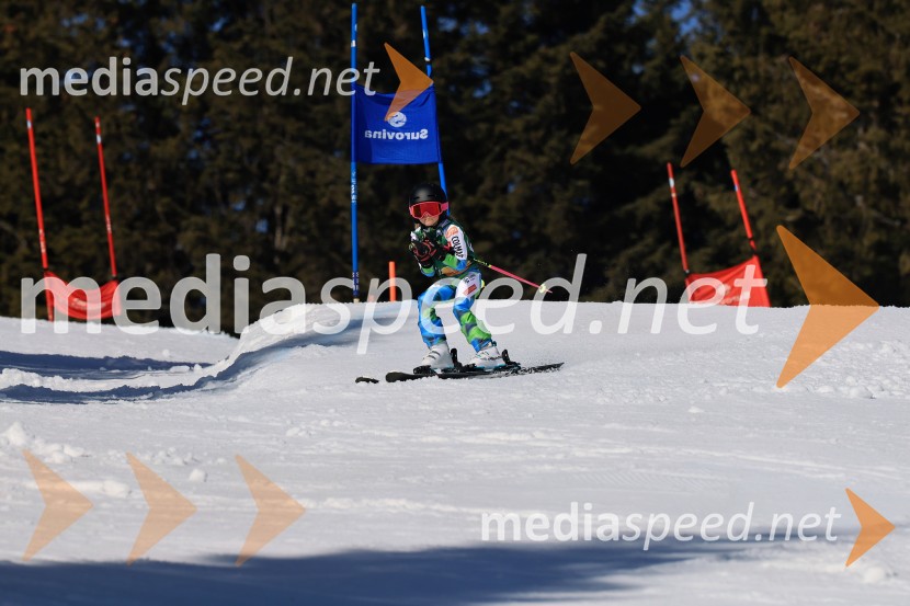 Koroški pokal 2026 - 4. tekma, Kope