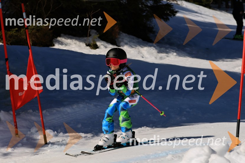 Koroški pokal 2026 - 4. tekma, Kope