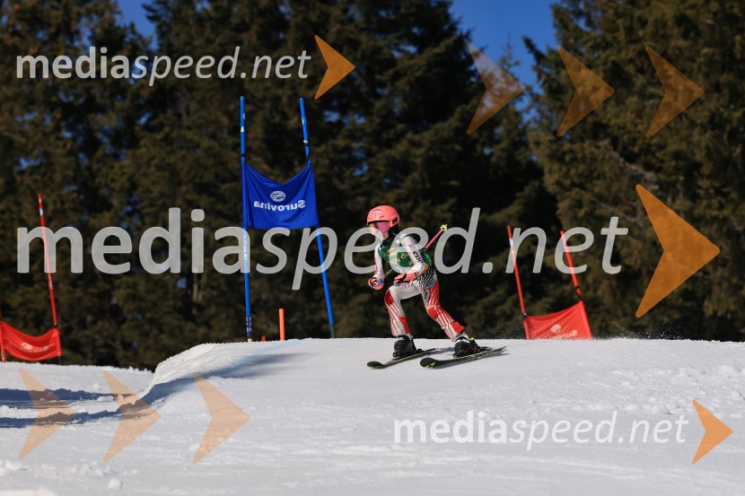 Koroški pokal 2026 - 4. tekma, Kope