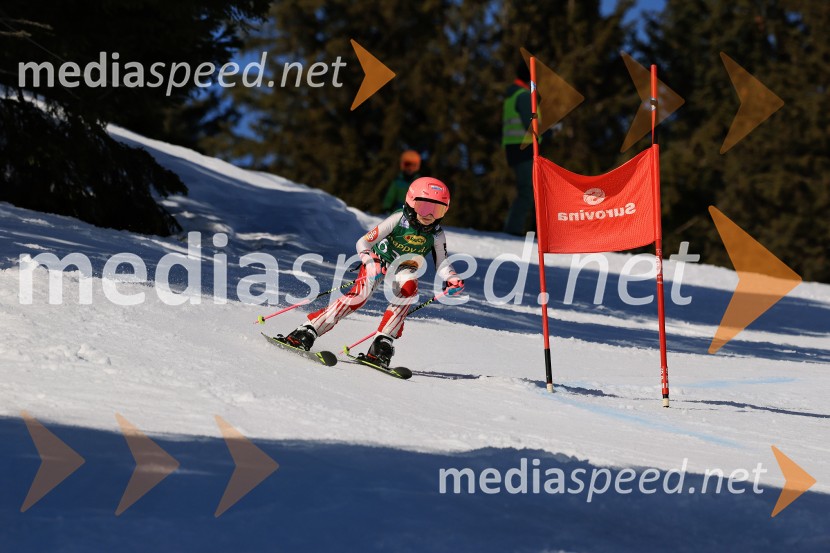 Koroški pokal 2026 - 4. tekma, Kope