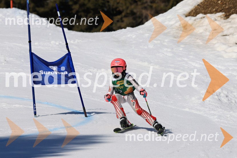 Koroški pokal 2026 - 4. tekma, Kope