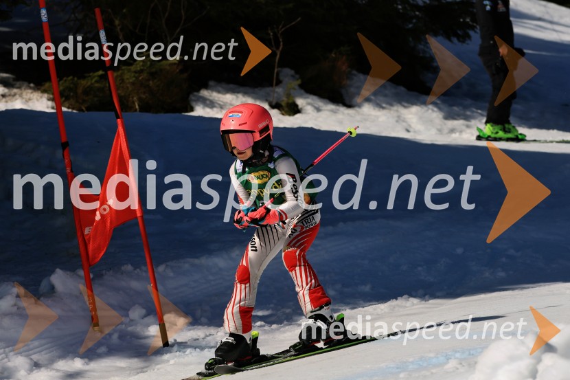 Koroški pokal 2026 - 4. tekma, Kope