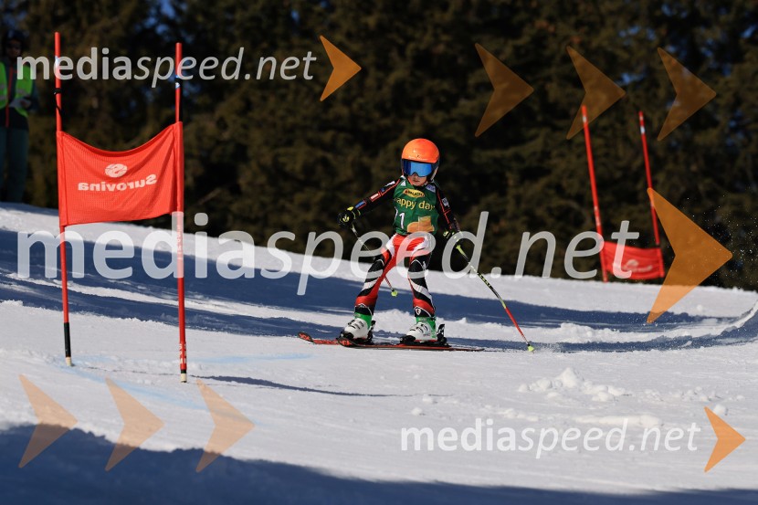 Koroški pokal 2026 - 4. tekma, Kope