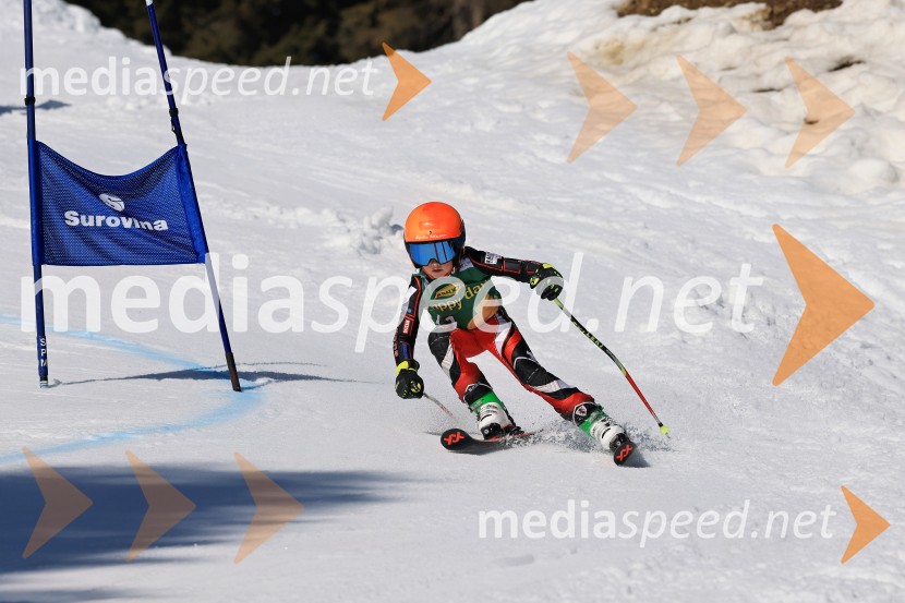Koroški pokal 2026 - 4. tekma, Kope