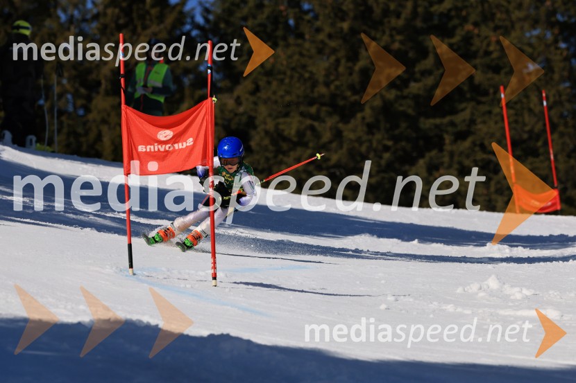 Koroški pokal 2026 - 4. tekma, Kope