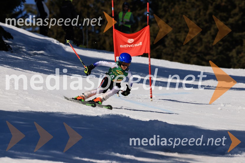 Koroški pokal 2026 - 4. tekma, Kope