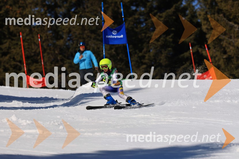 Koroški pokal 2026 - 4. tekma, Kope