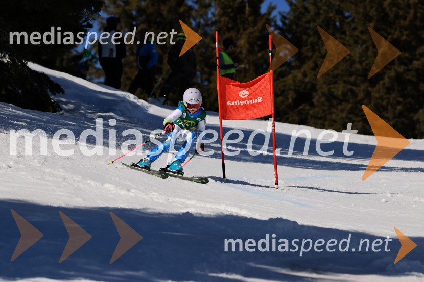 Koroški pokal 2026 - 4. tekma, Kope