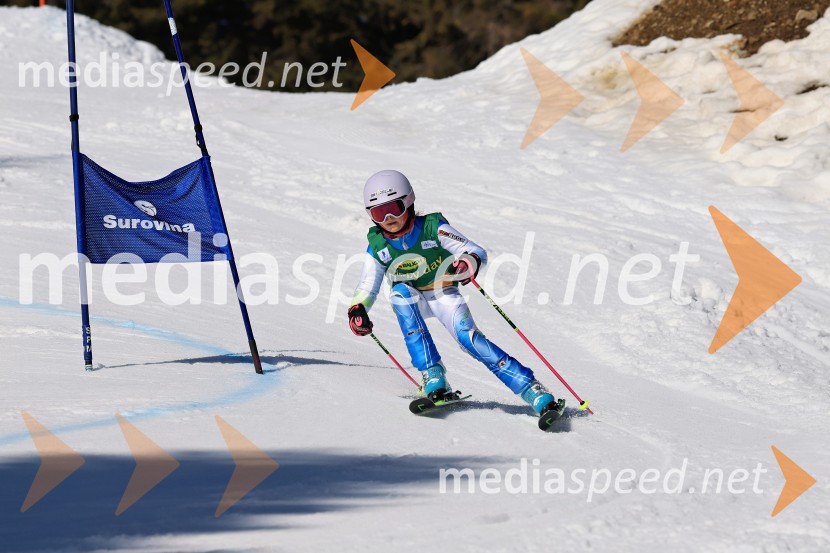Koroški pokal 2026 - 4. tekma, Kope