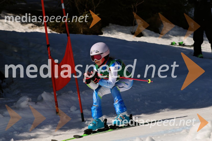 Koroški pokal 2026 - 4. tekma, Kope