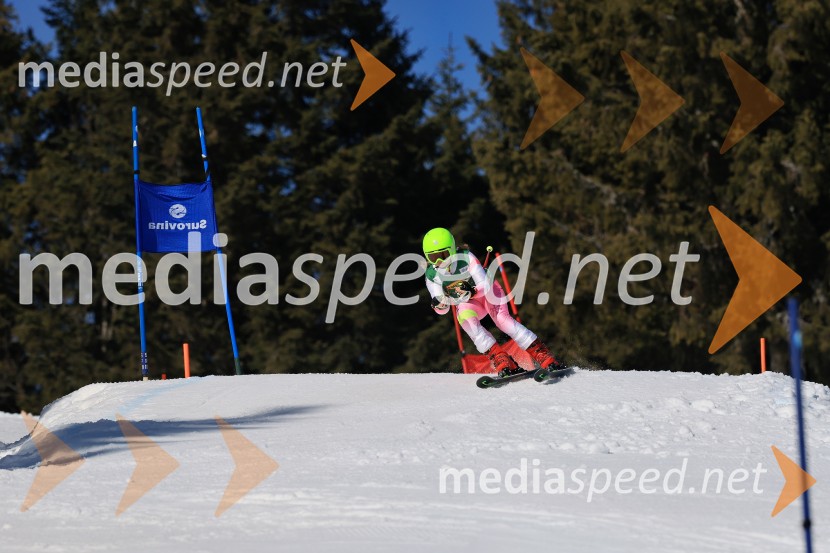 Koroški pokal 2026 - 4. tekma, Kope