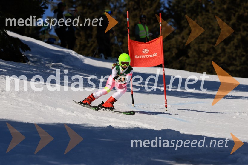 Koroški pokal 2026 - 4. tekma, Kope