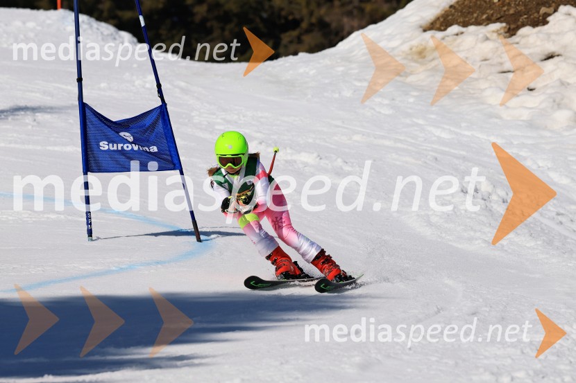 Koroški pokal 2026 - 4. tekma, Kope